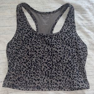Evolution and Creation Cheetah Tank